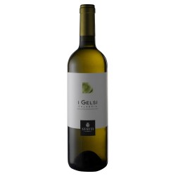 Vino Bianco Statti I.G.T.  Gelsi  cl 75