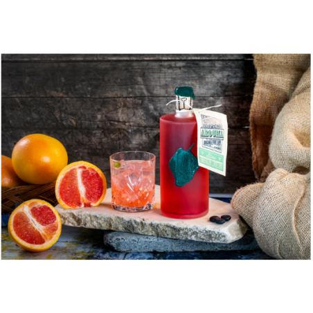 Gin pamplemousse rose Arocha il Calabrese bitter numéro 5 cl 70