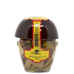 Funghi porcini in olio di oliva vaso fungo
