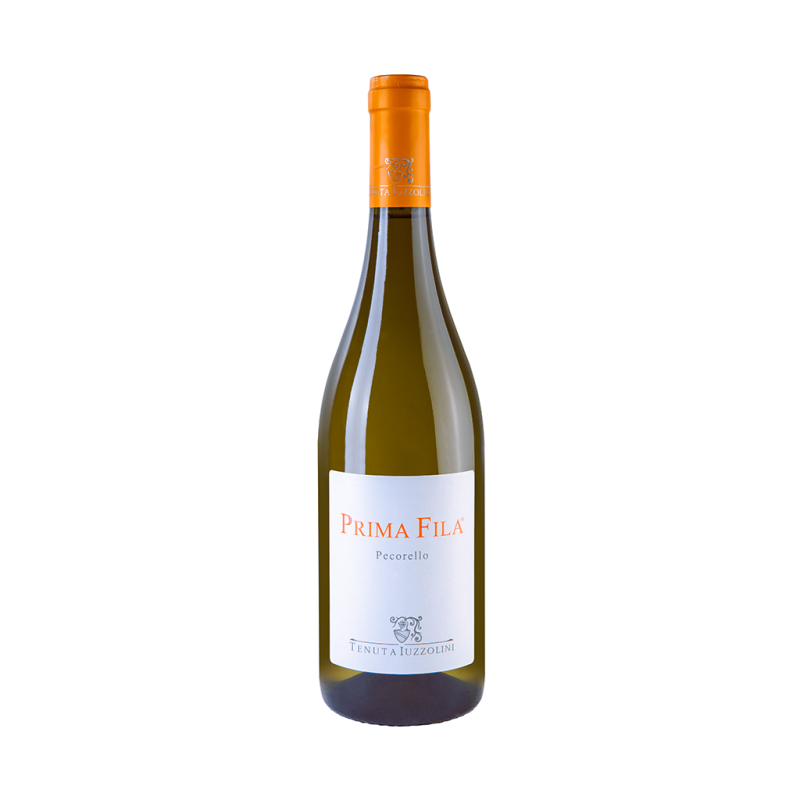 Weißwein Prima Fila igt Calabria Iuzzolini