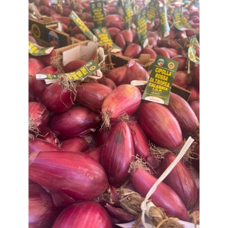 Oignon rouge de Tropea IGP - 6 kg