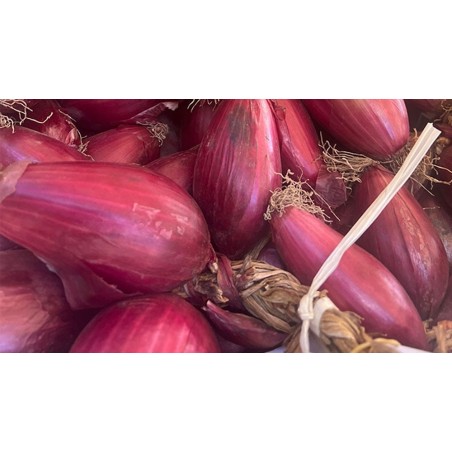 Oignon rouge de Tropea IGP - 6 kg
