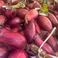 cipolla rossa tropea igp