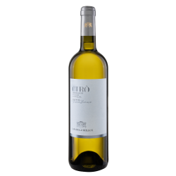 Vino bianco cirò classico