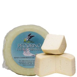 Fresh Calabrian pecorino cheese 1 kg