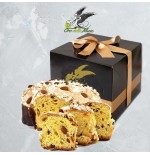 Klassischer hochwertiger Konditorei Panettone