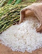 Calabrian rice from the plain of sibari directly to your home