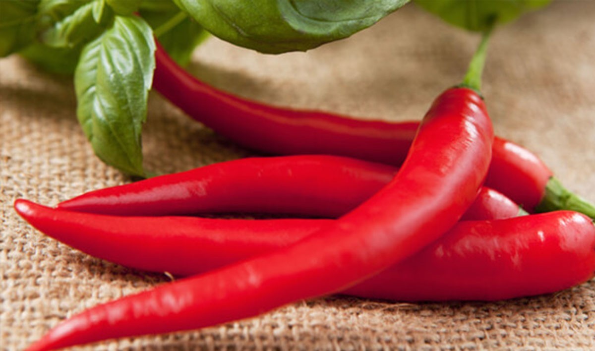 Il Peperoncino Calabrese
