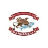 Sardanelli