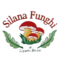 Silana Funghi
